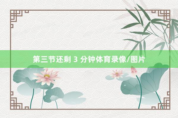 第三节还剩 3 分钟体育录像/图片