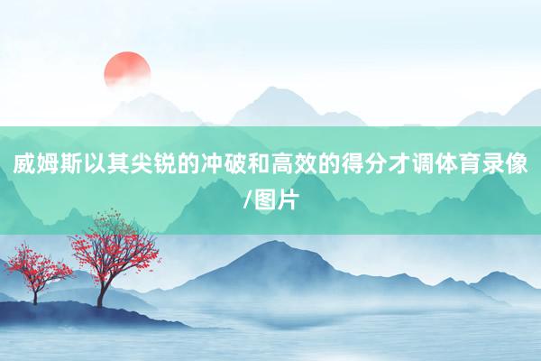 威姆斯以其尖锐的冲破和高效的得分才调体育录像/图片