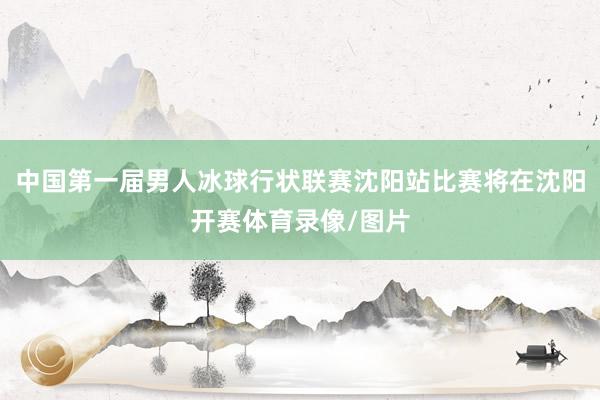 中国第一届男人冰球行状联赛沈阳站比赛将在沈阳开赛体育录像/图片