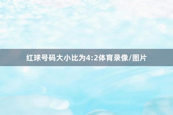 红球号码大小比为4:2体育录像/图片