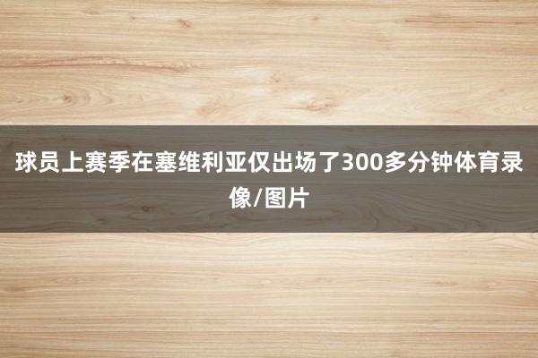 球员上赛季在塞维利亚仅出场了300多分钟体育录像/图片