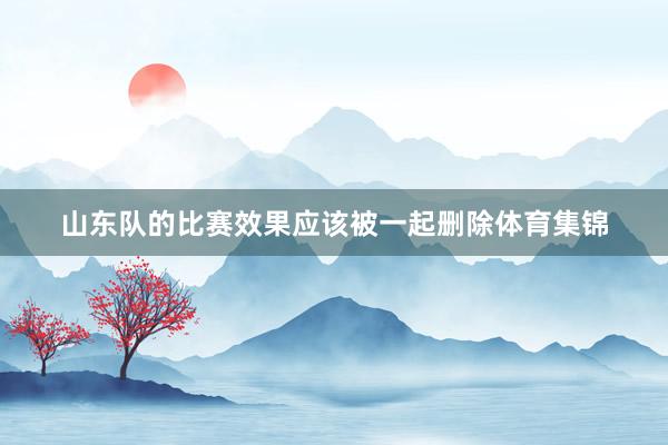 山东队的比赛效果应该被一起删除体育集锦