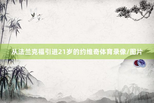 从法兰克福引进21岁的约维奇体育录像/图片